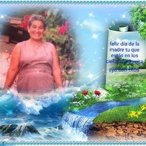 Meet your Posher, Benjamin